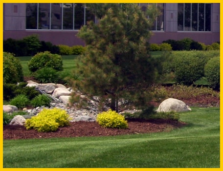 Landscaping Maintenance Las Vegas Nevada